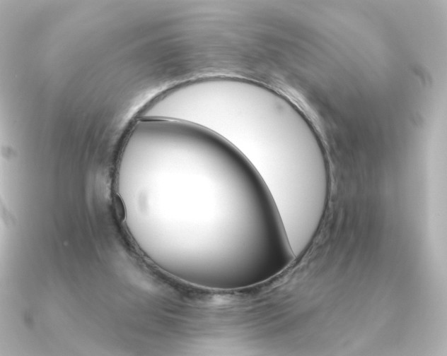 X0000091370060200708101122