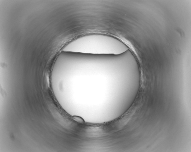 X0000091370061200708101122