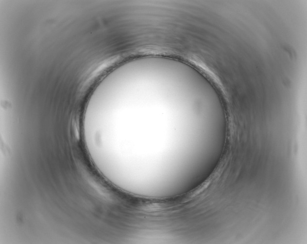 X0000091370062200708101122