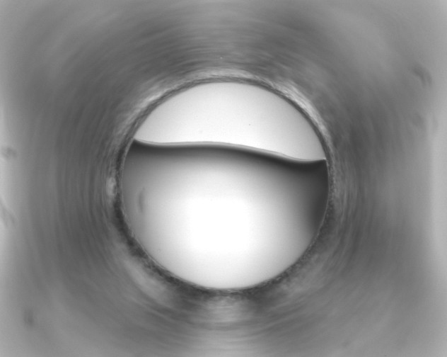 X0000091370063200708101122