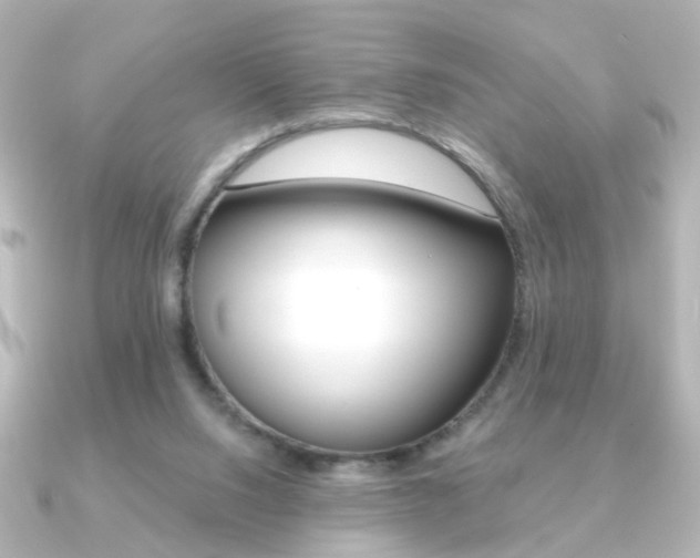 X0000091370064200708101122