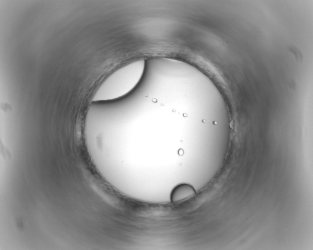 X0000091370065200708101122