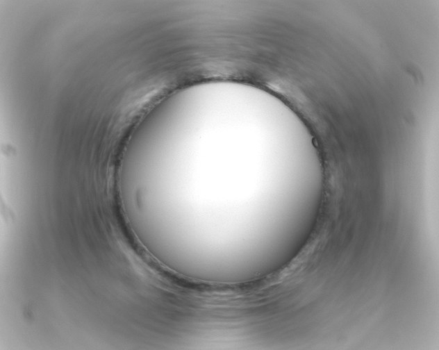 X0000091370066200708101122