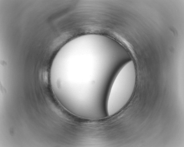 X0000091370067200708101122