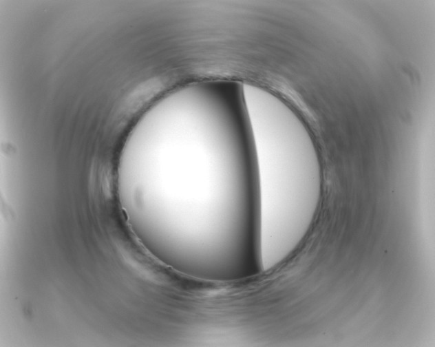 X0000091370068200708101122