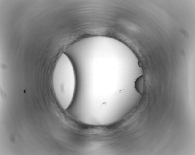 X0000091370069200708101122