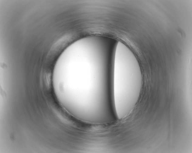 X0000091370070200708101122