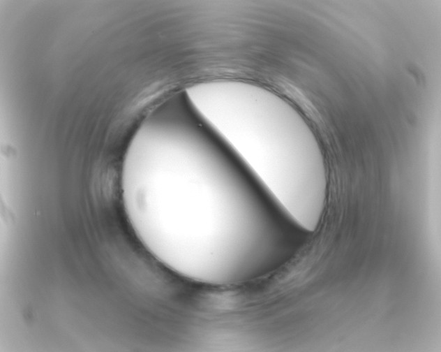 X0000091370071200708101122