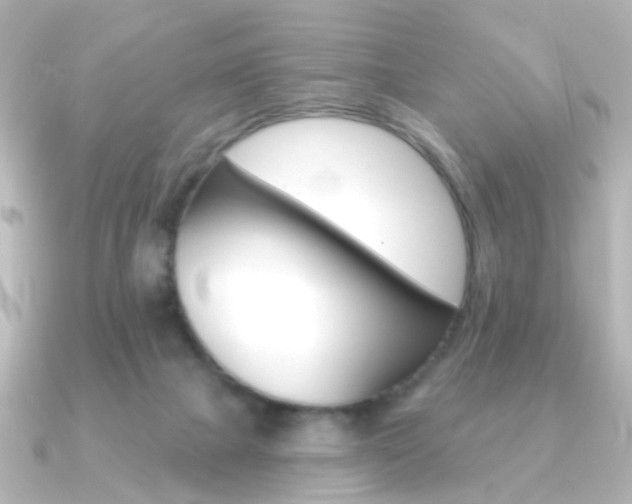 X0000091370073200708101122