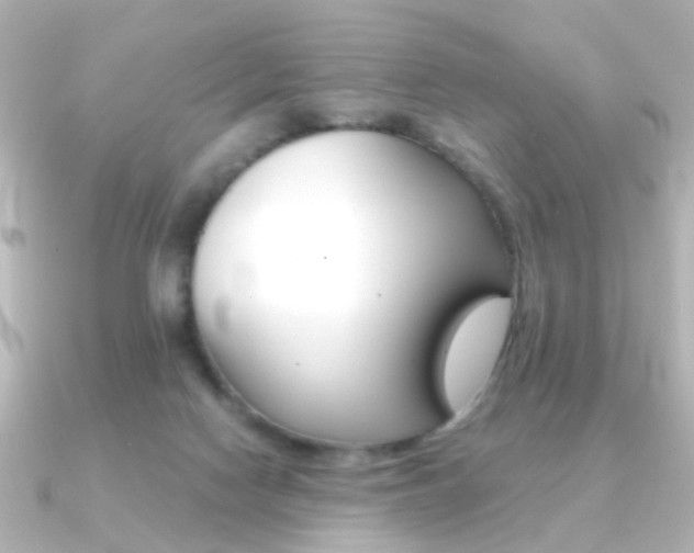 X0000091370074200708101122