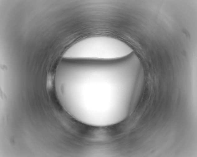 X0000091370075200708101122