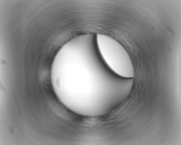 X0000091370079200708101122