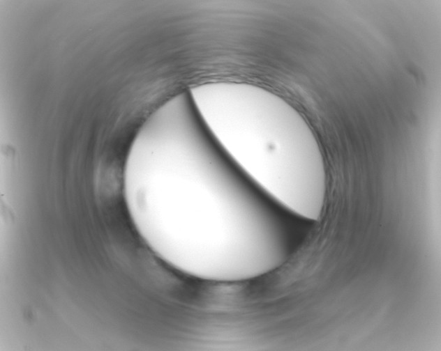 X0000091370081200708101122