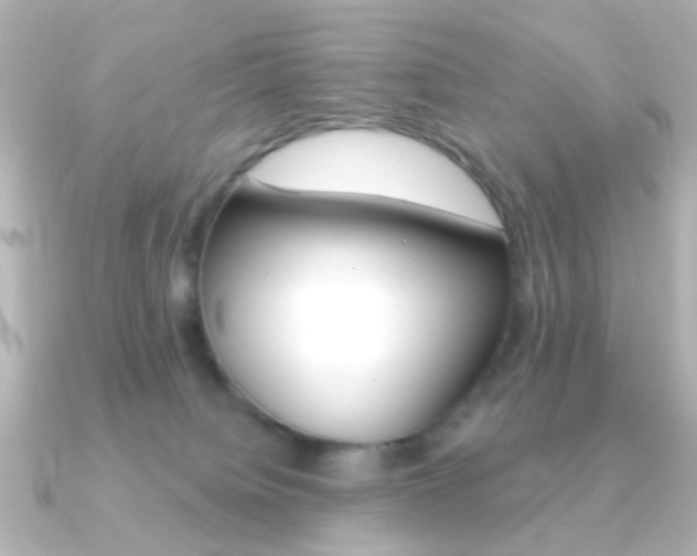 X0000091370084200708101122