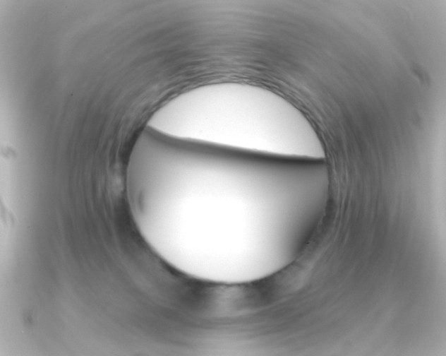 X0000091370085200708101122