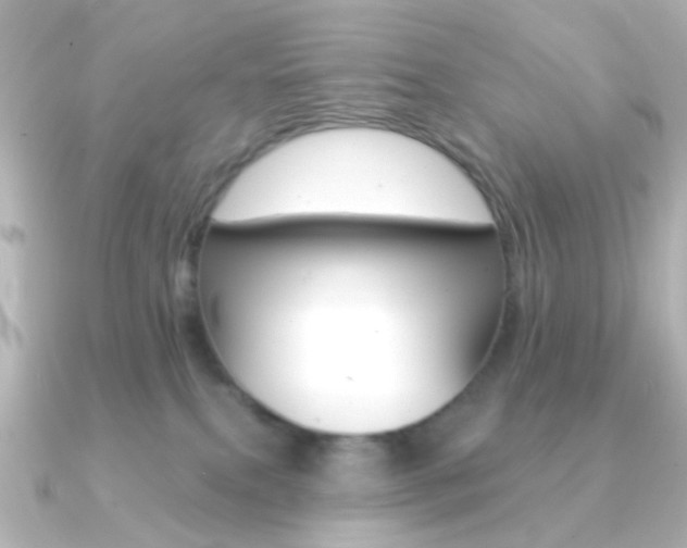 X0000091370087200708101122