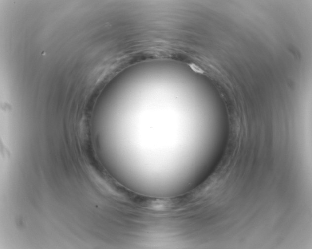 X0000091370088200708101122