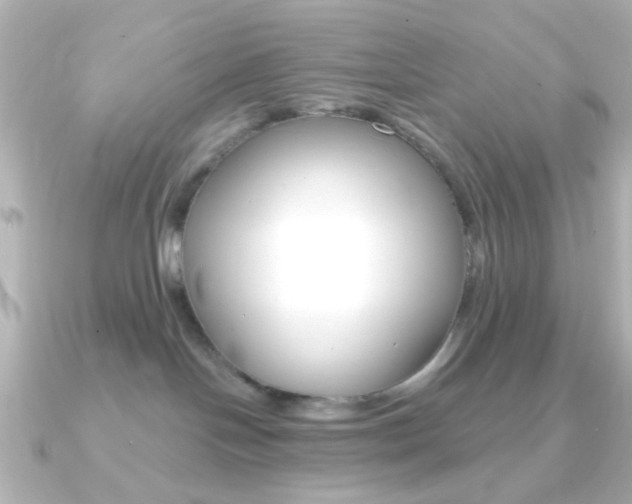 X0000091370094200708101122