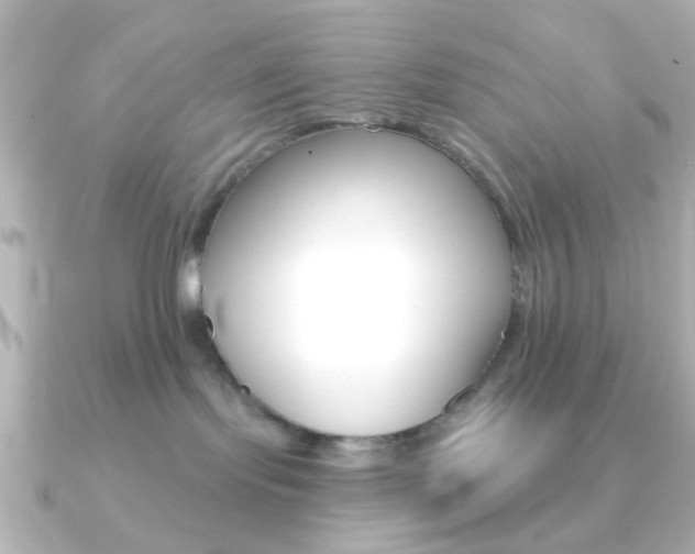 X0000091370095200708101122