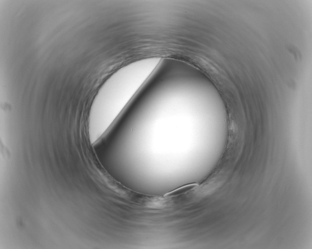 X0000091370096200708101122