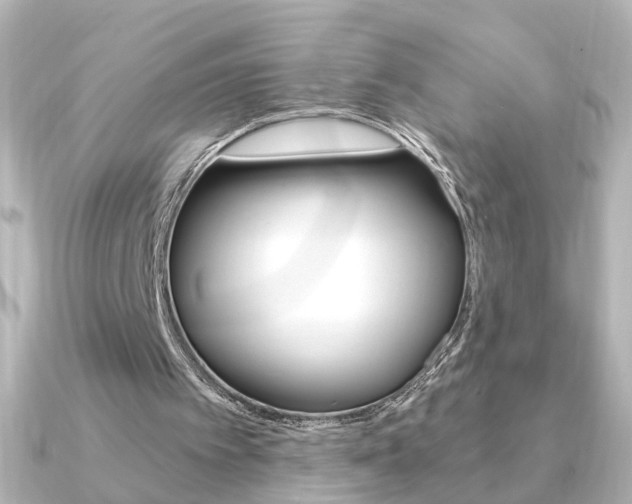 X0000091370097200708101122