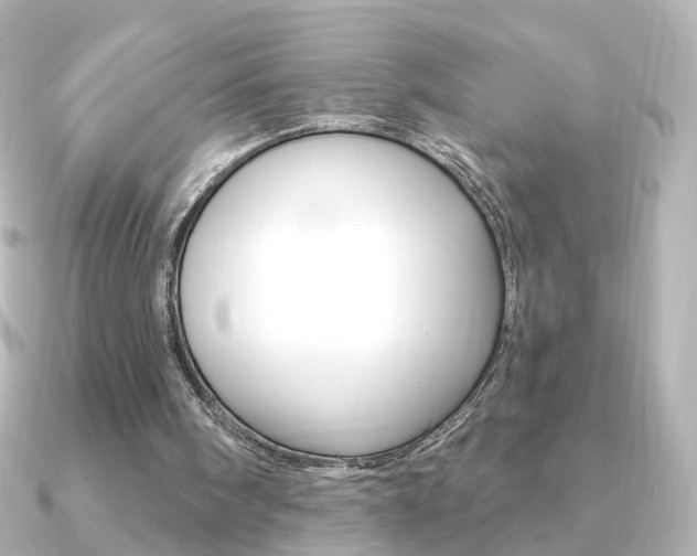 X0000091370098200708101121