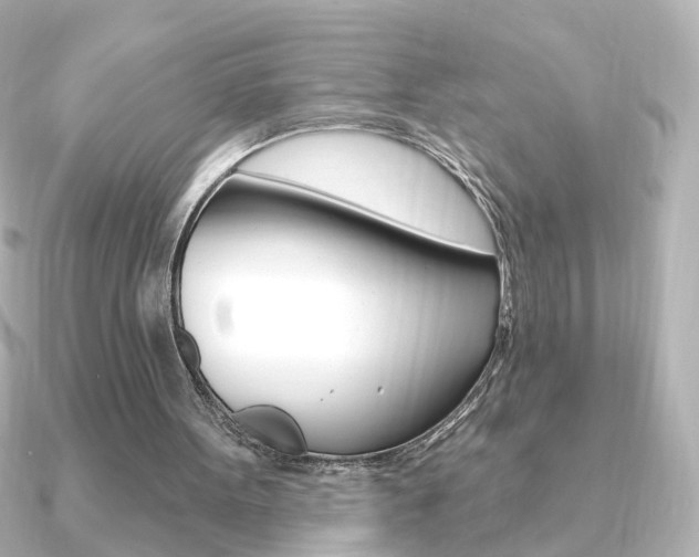 X0000091370099200708101121