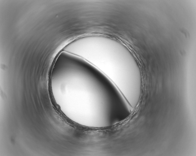 X0000091370100200708101121