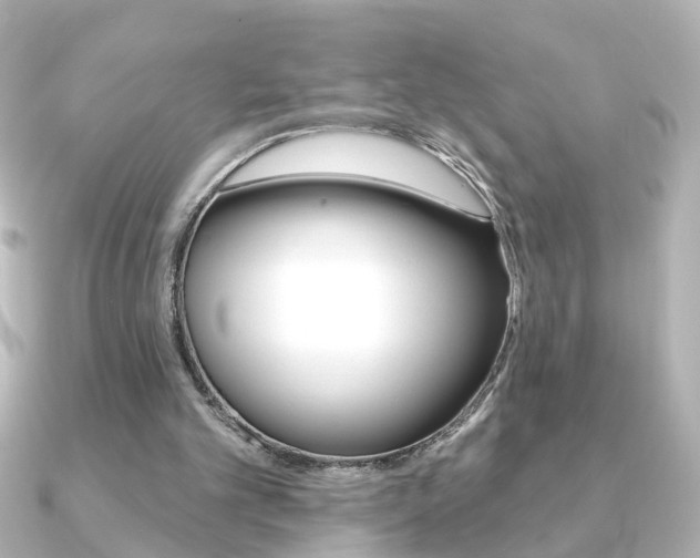 X0000091370101200708101121