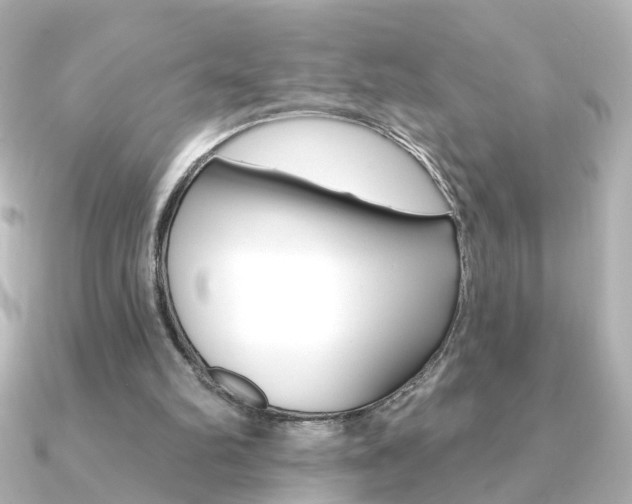 X0000091370102200708101121