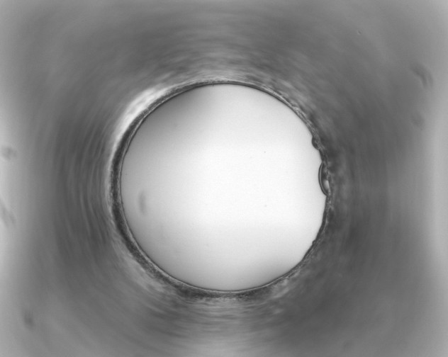 X0000091370104200708101121