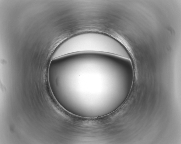 X0000091370105200708101121