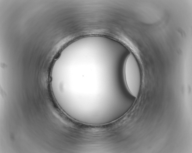 X0000091370107200708101121