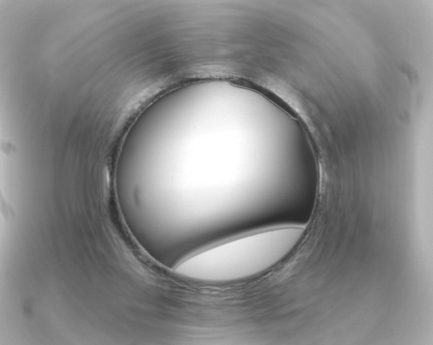 X0000091370109200708101121