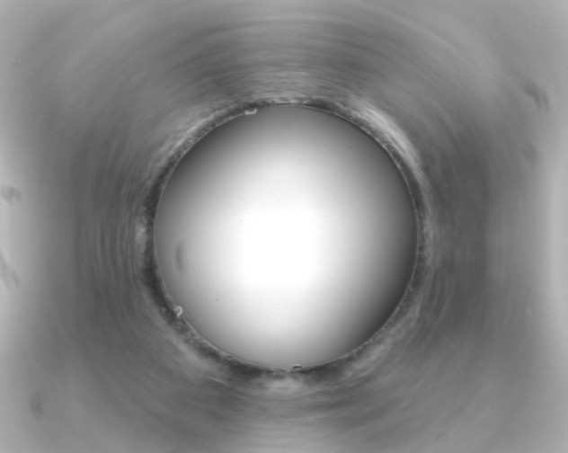 X0000091370113200708101121