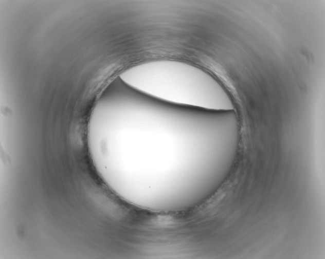 X0000091370114200708101121