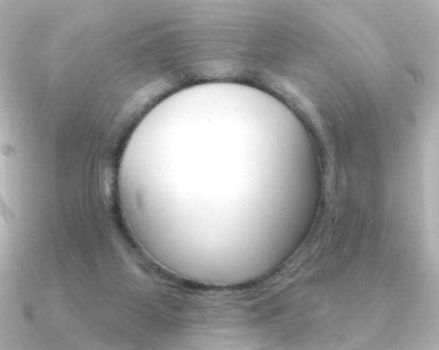 X0000091370115200708101121