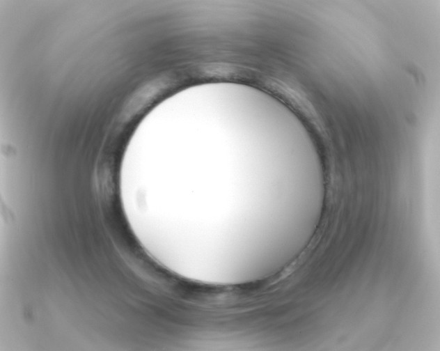 X0000091370116200708101121