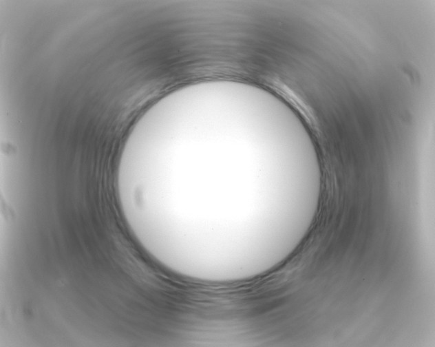 X0000091370117200708101121