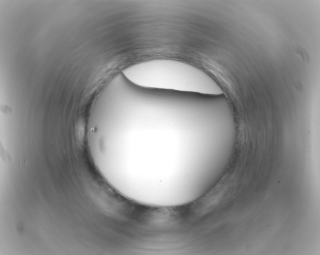 X0000091370118200708101121