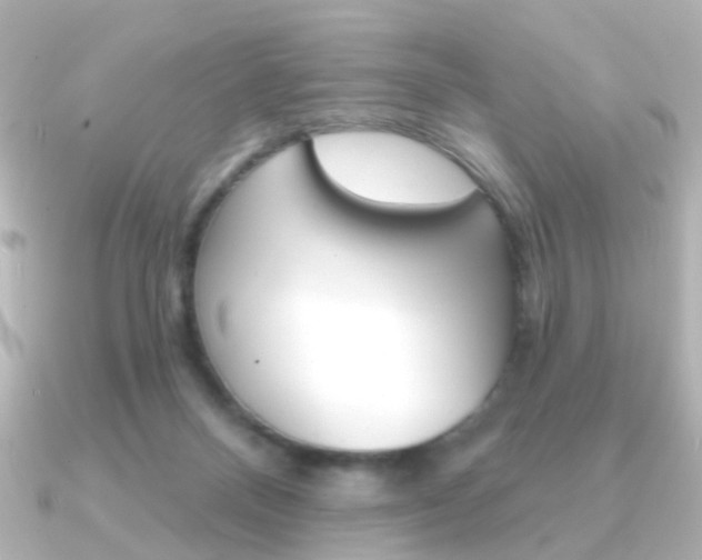 X0000091370120200708101121