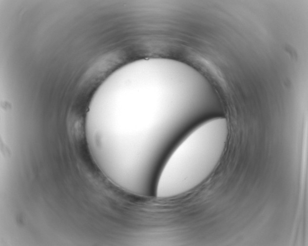 X0000091370123200708101121