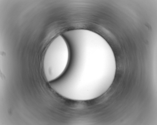 X0000091370124200708101121