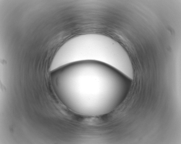 X0000091370125200708101121