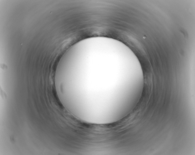 X0000091370127200708101121