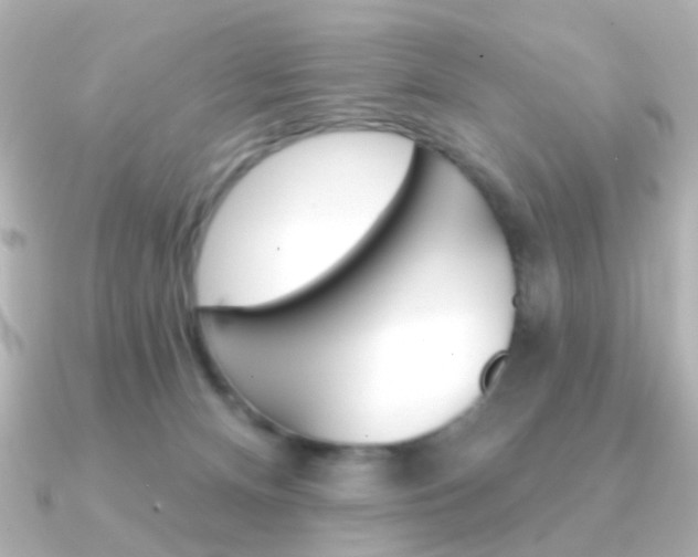 X0000091370128200708101121