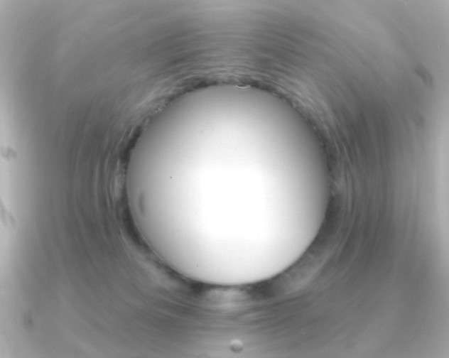 X0000091370133200708101121