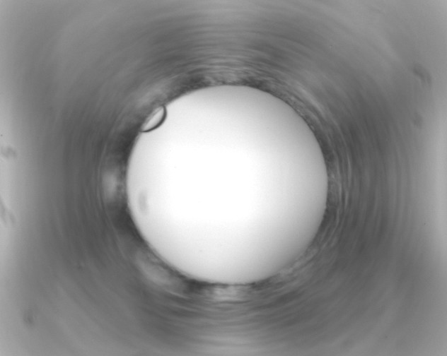 X0000091370134200708101121