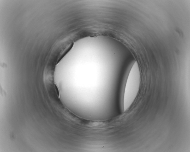 X0000091370137200708101121