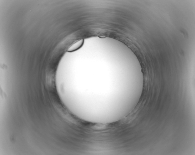 X0000091370138200708101121